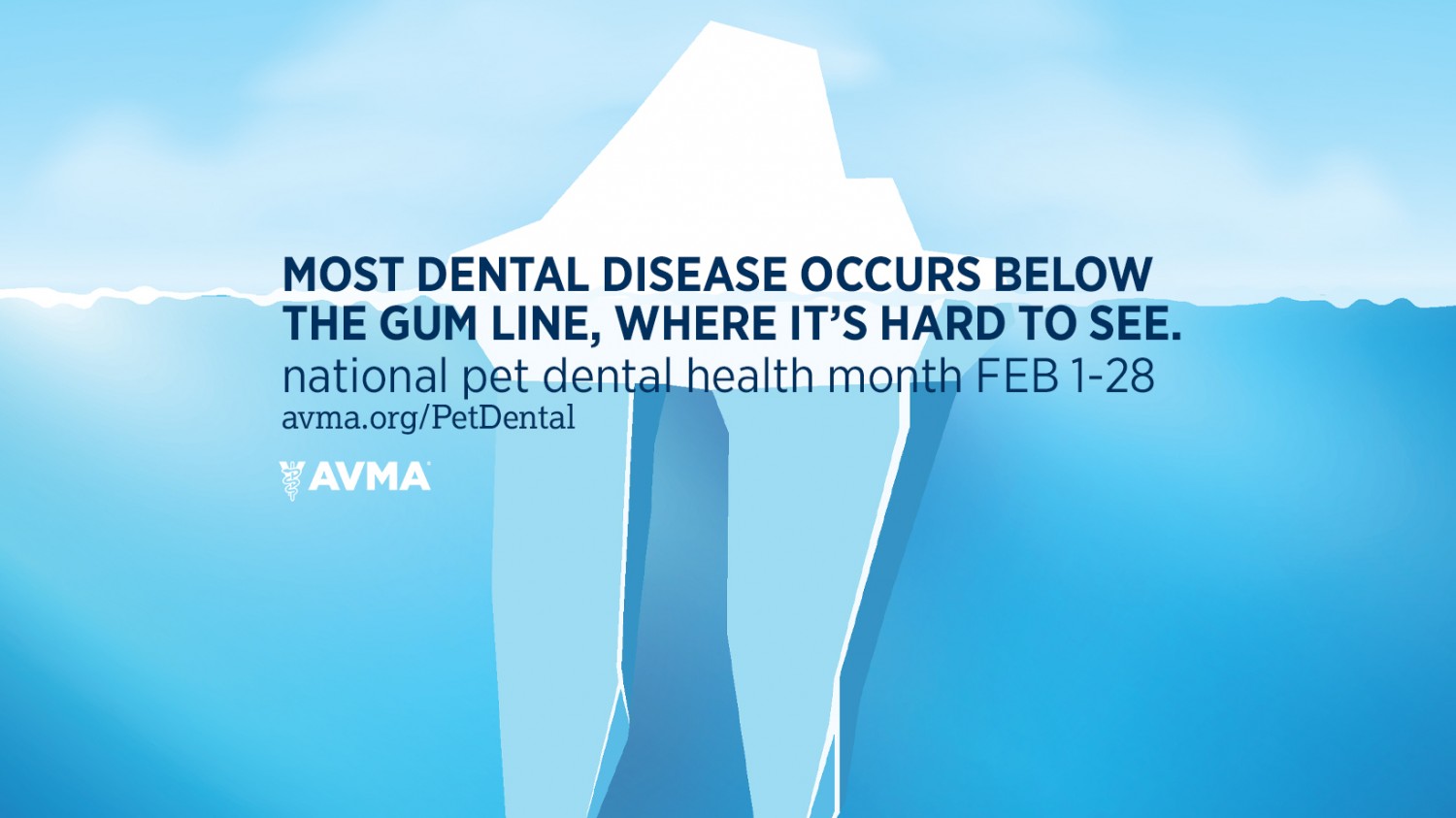 Feb dental poster